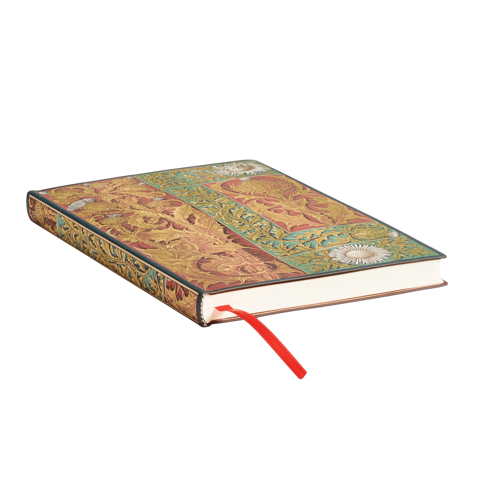 Cardo Silvestre - Cuadernos - Edge Image