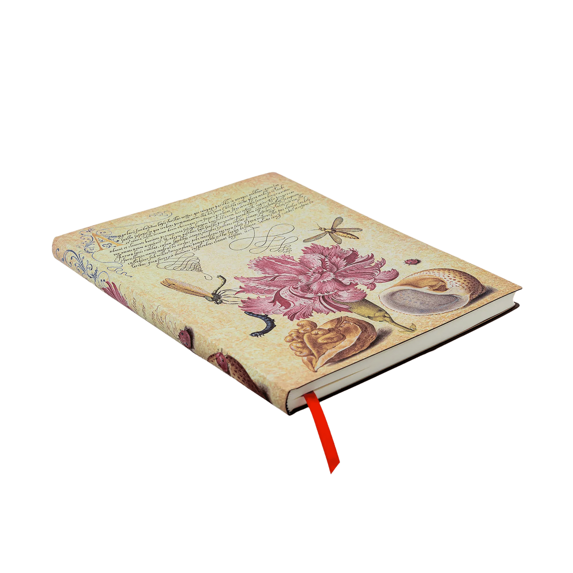 Clavel Rosa - Cuadernos - Angle Image
