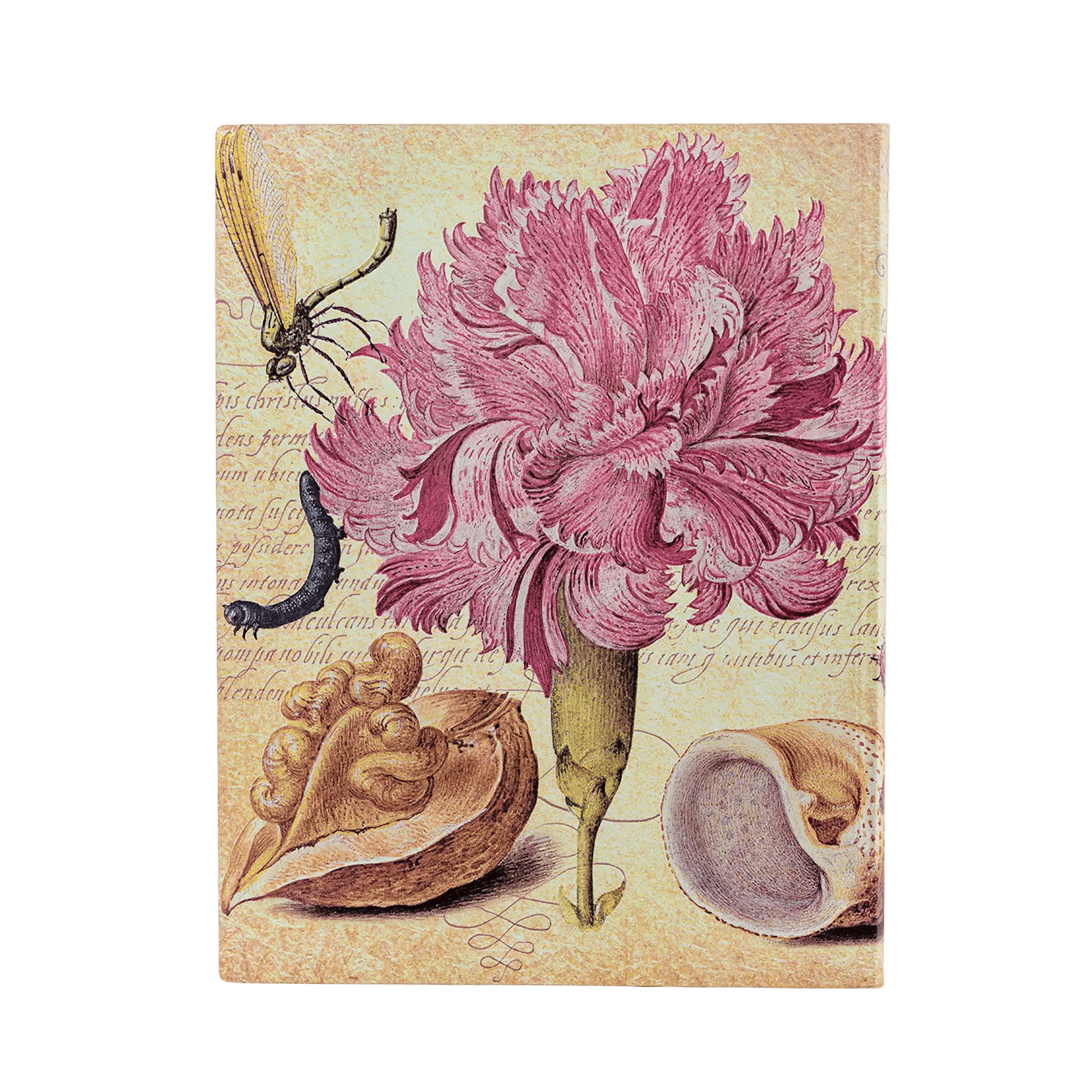 Clavel Rosa - Cuadernos - Back Image
