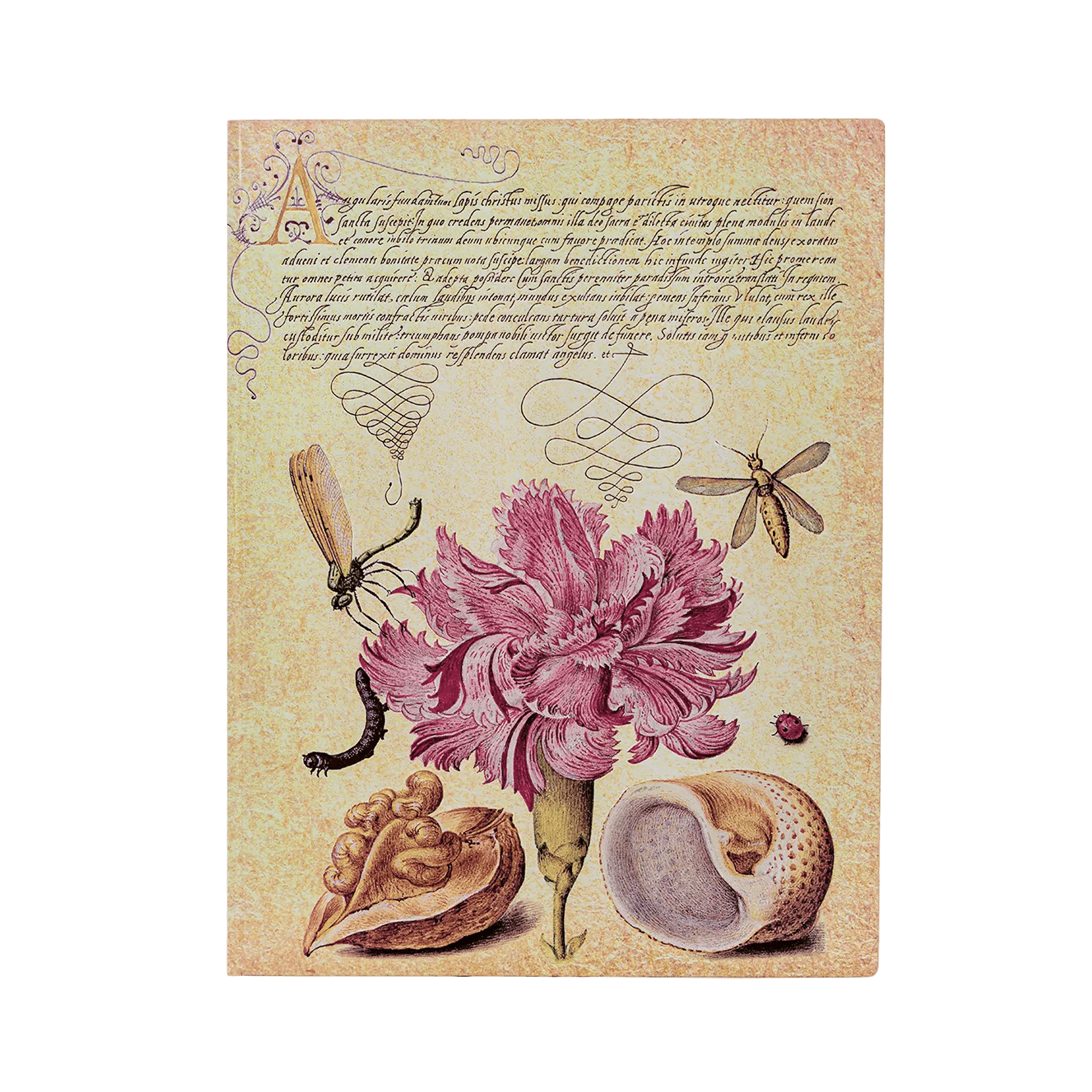 Clavel Rosa - Cuadernos - Front Image