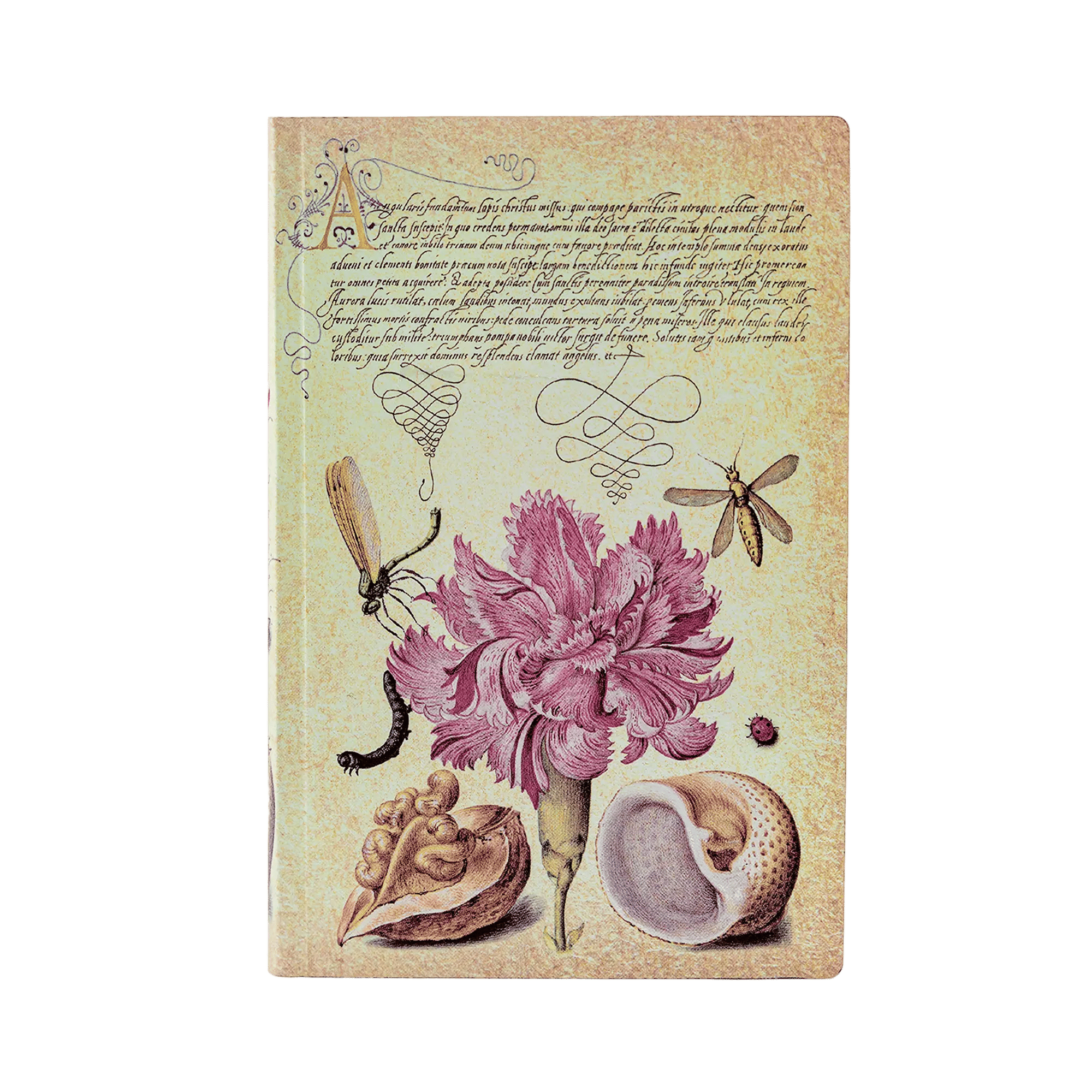 Garofano Rosa - Diari - Front Image