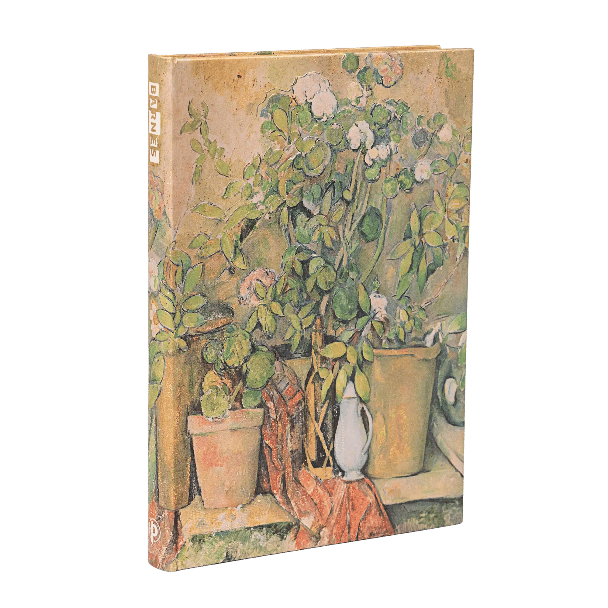 Pots en Terre Cuite et Fleurs de Cézanne - Carnets - Front Image