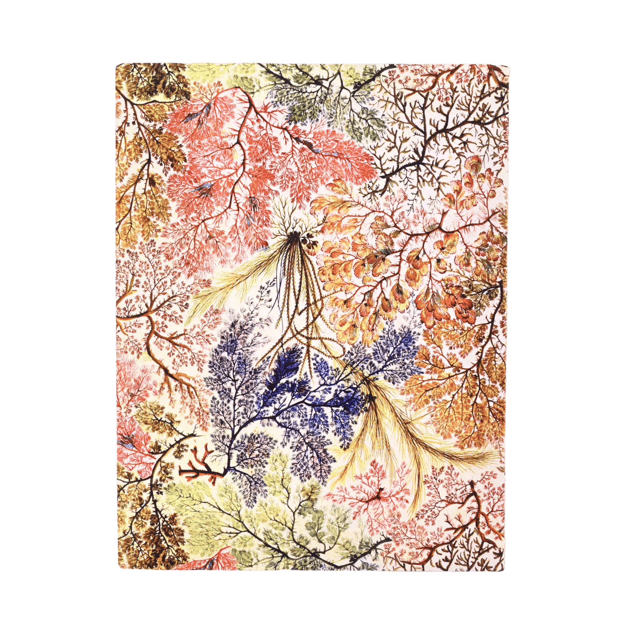 Anémonas - Cuadernos - Back Image
