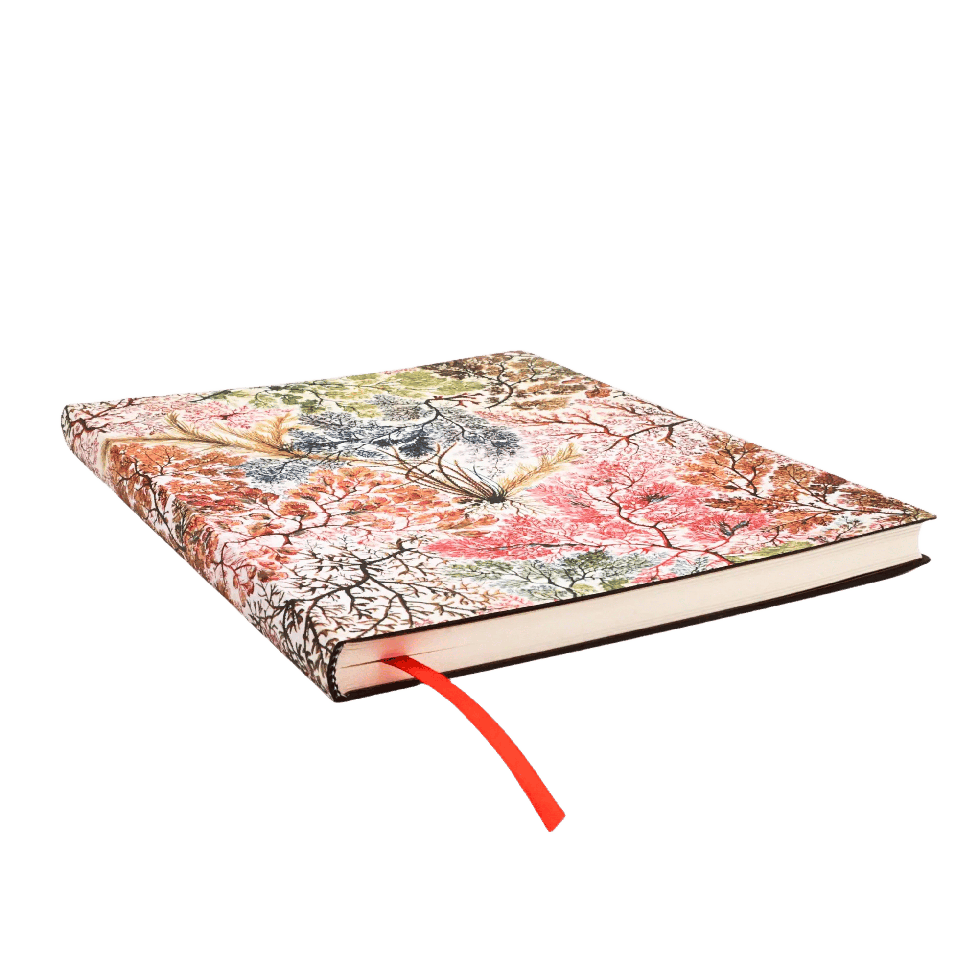 Anémonas - Cuadernos - Edge Image