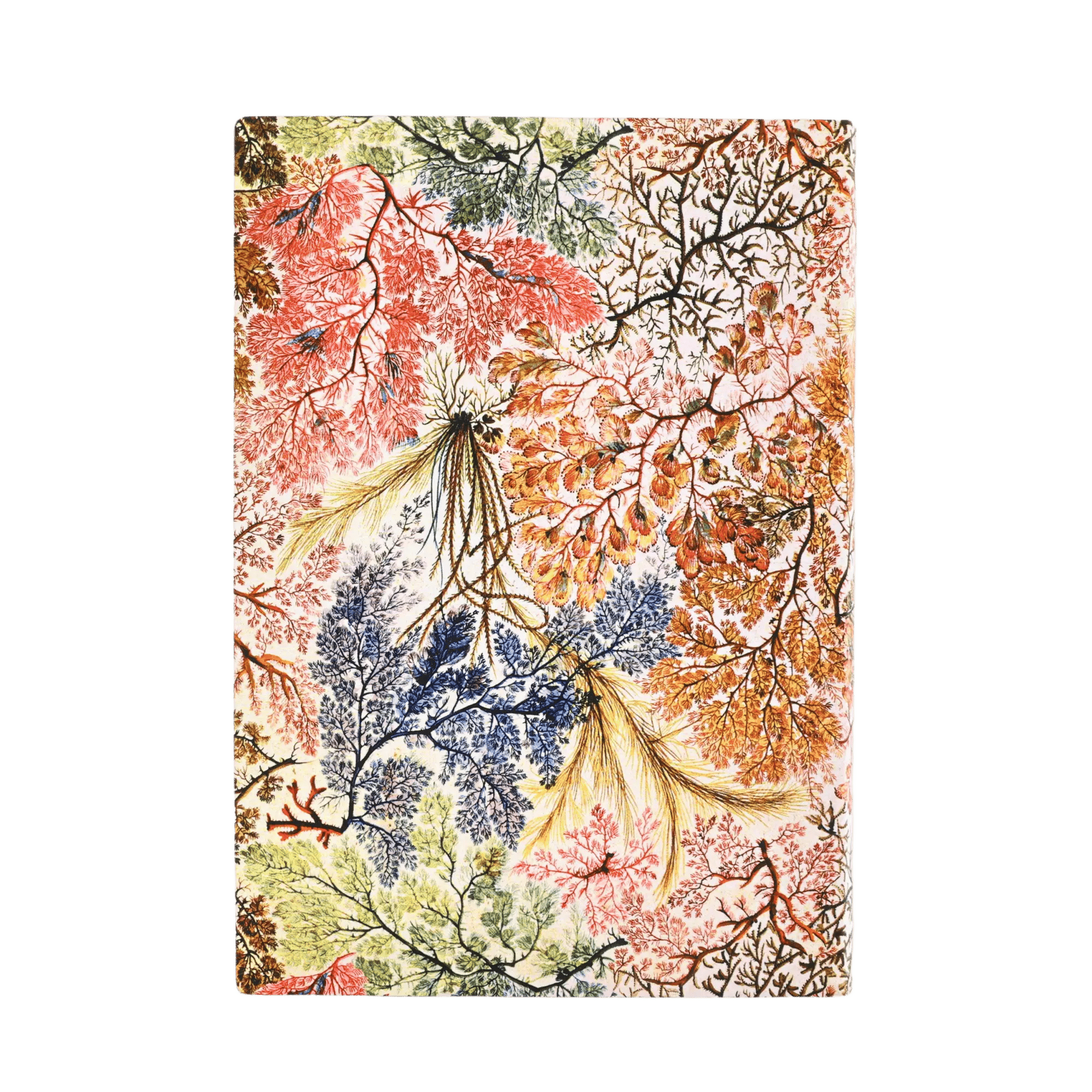 Anemone - William Kilburn - Journals | Paperblanks