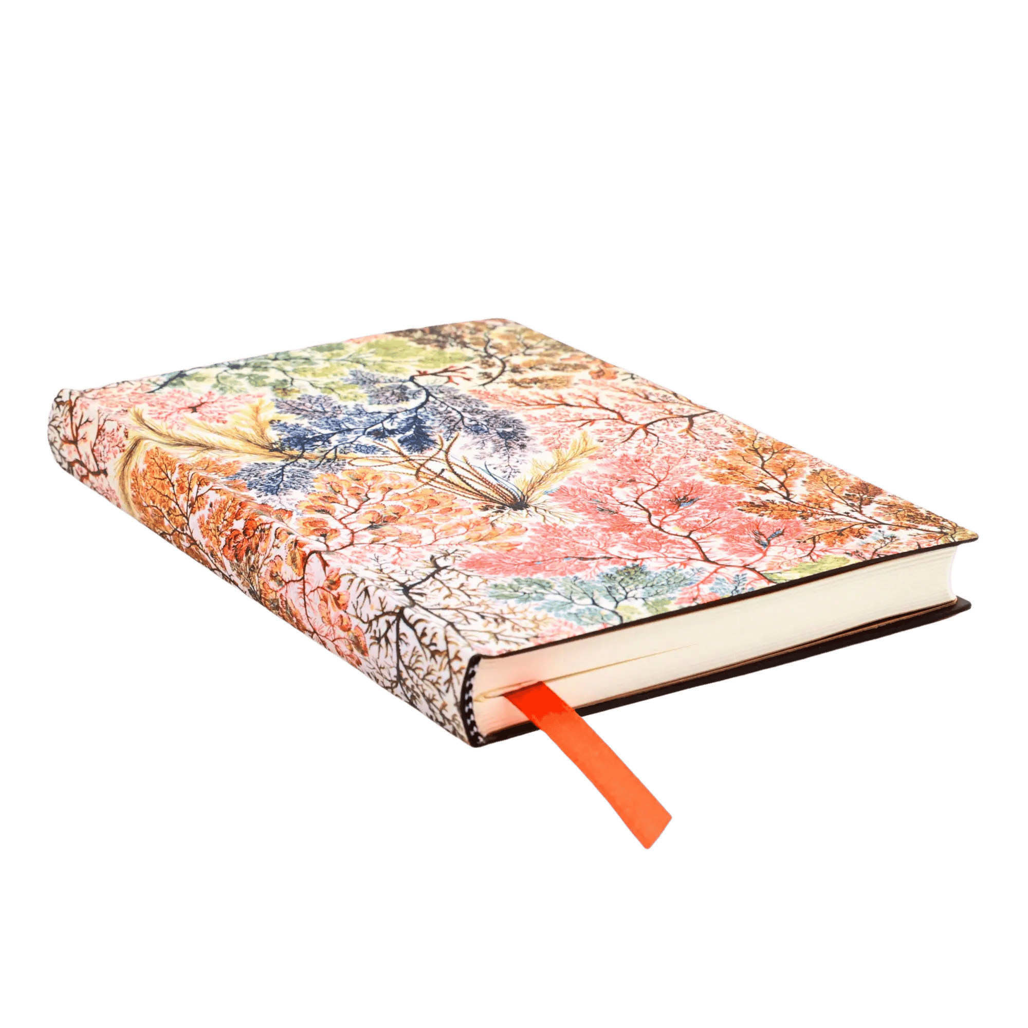 Anémone - Carnets - Edge Image