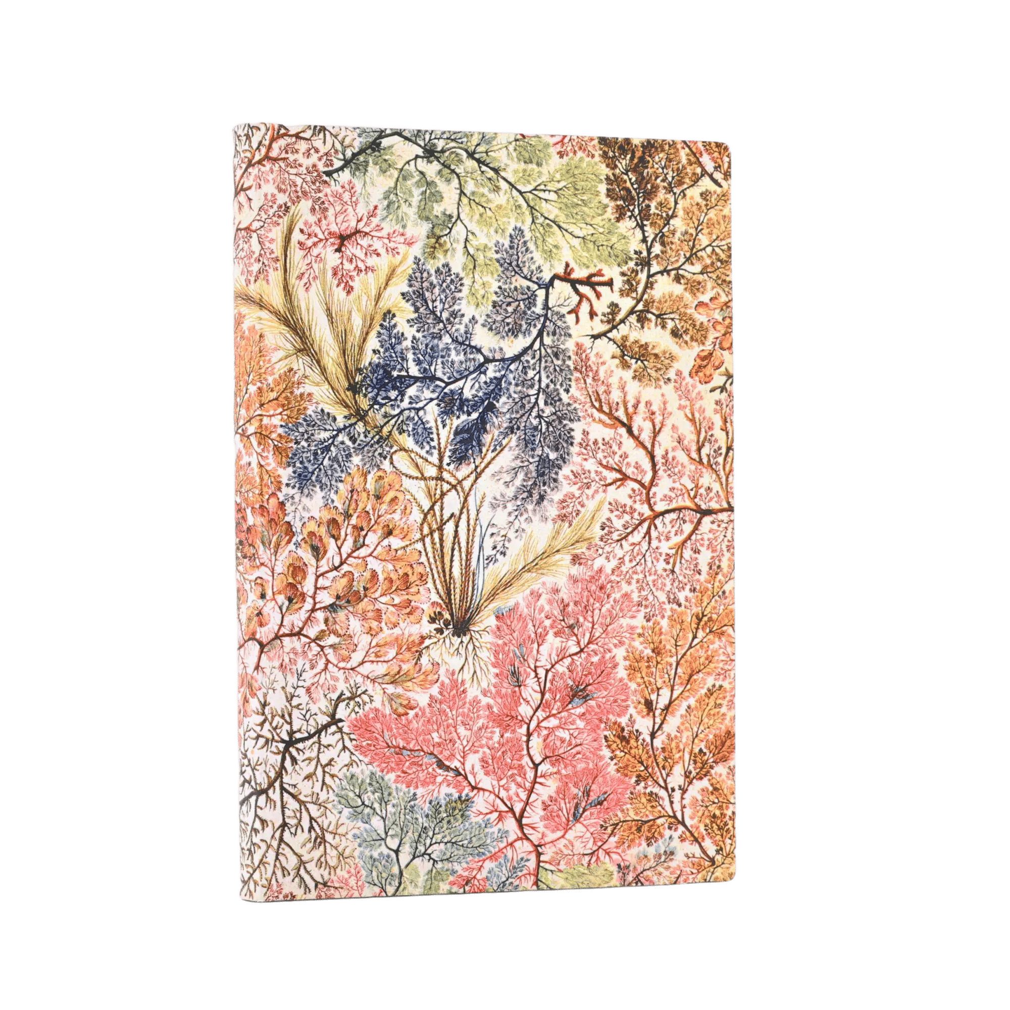 Anémone - Carnets - Front Image