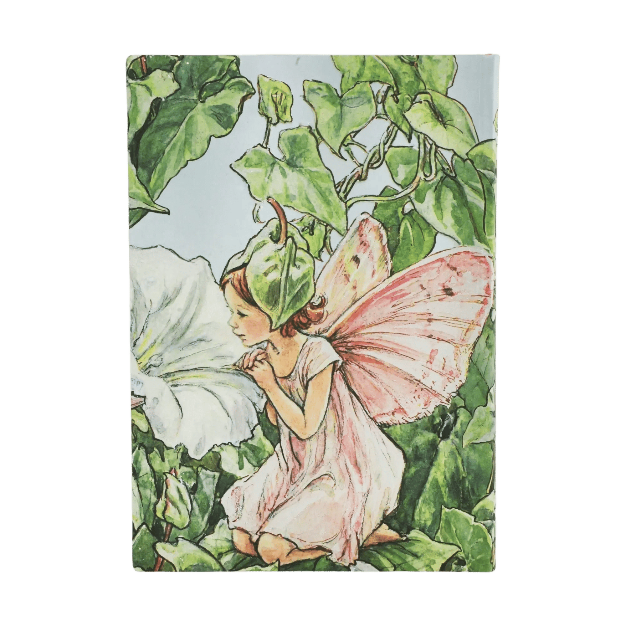 Bindweed Fairy - Journals - Back Image