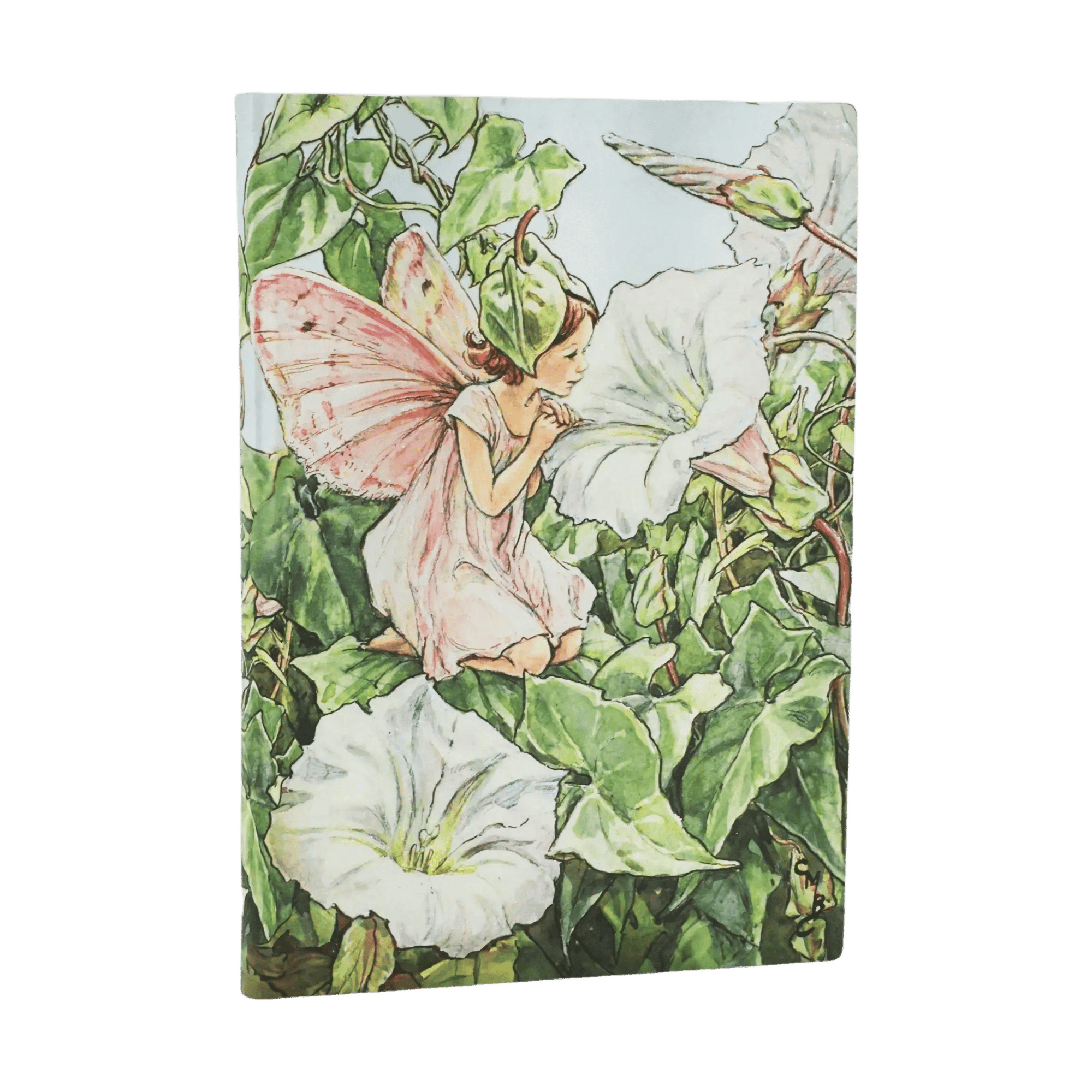 Bindweed Fairy - Journals - Front Image