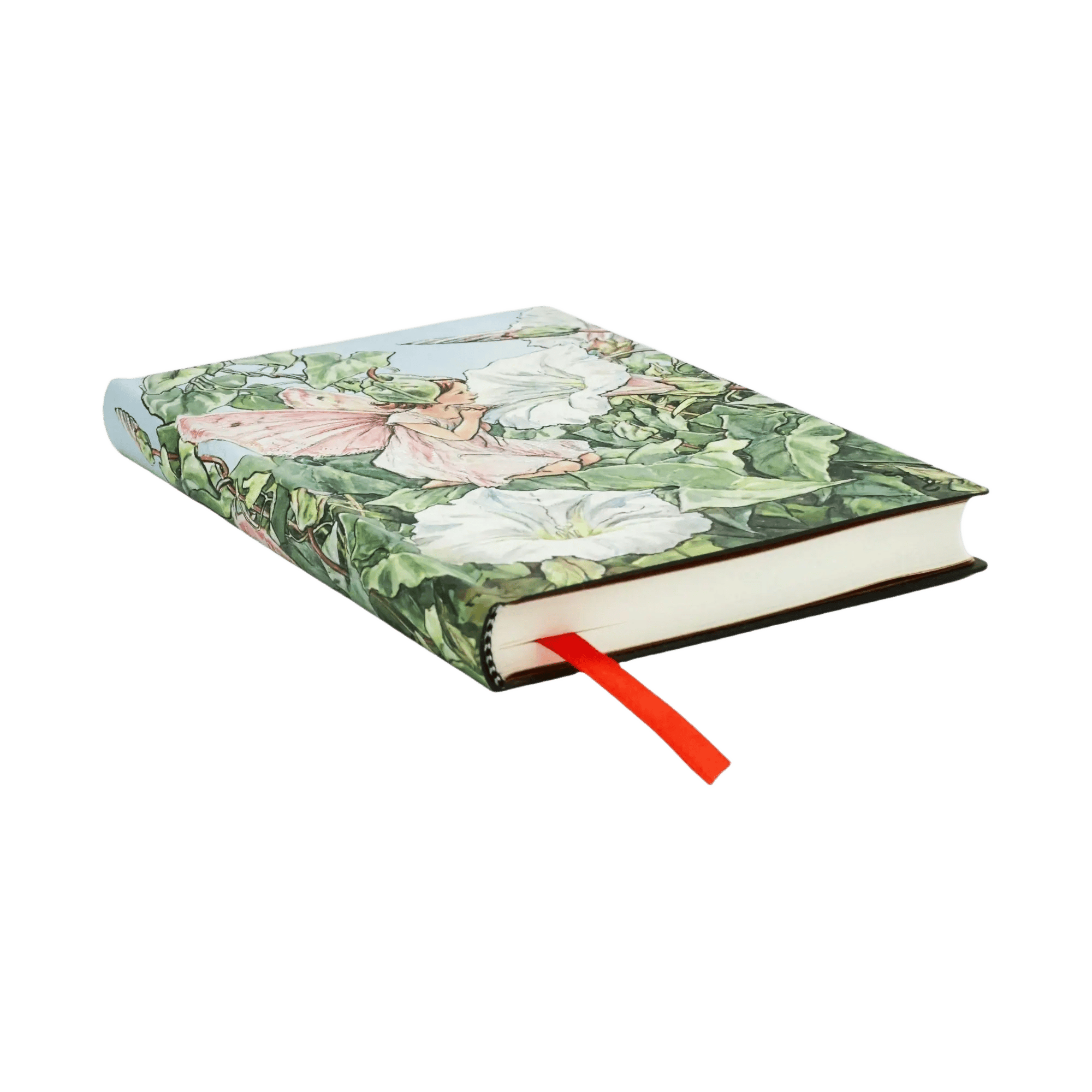 Fee mit weißer Winde - Notizbücher - Edge Image