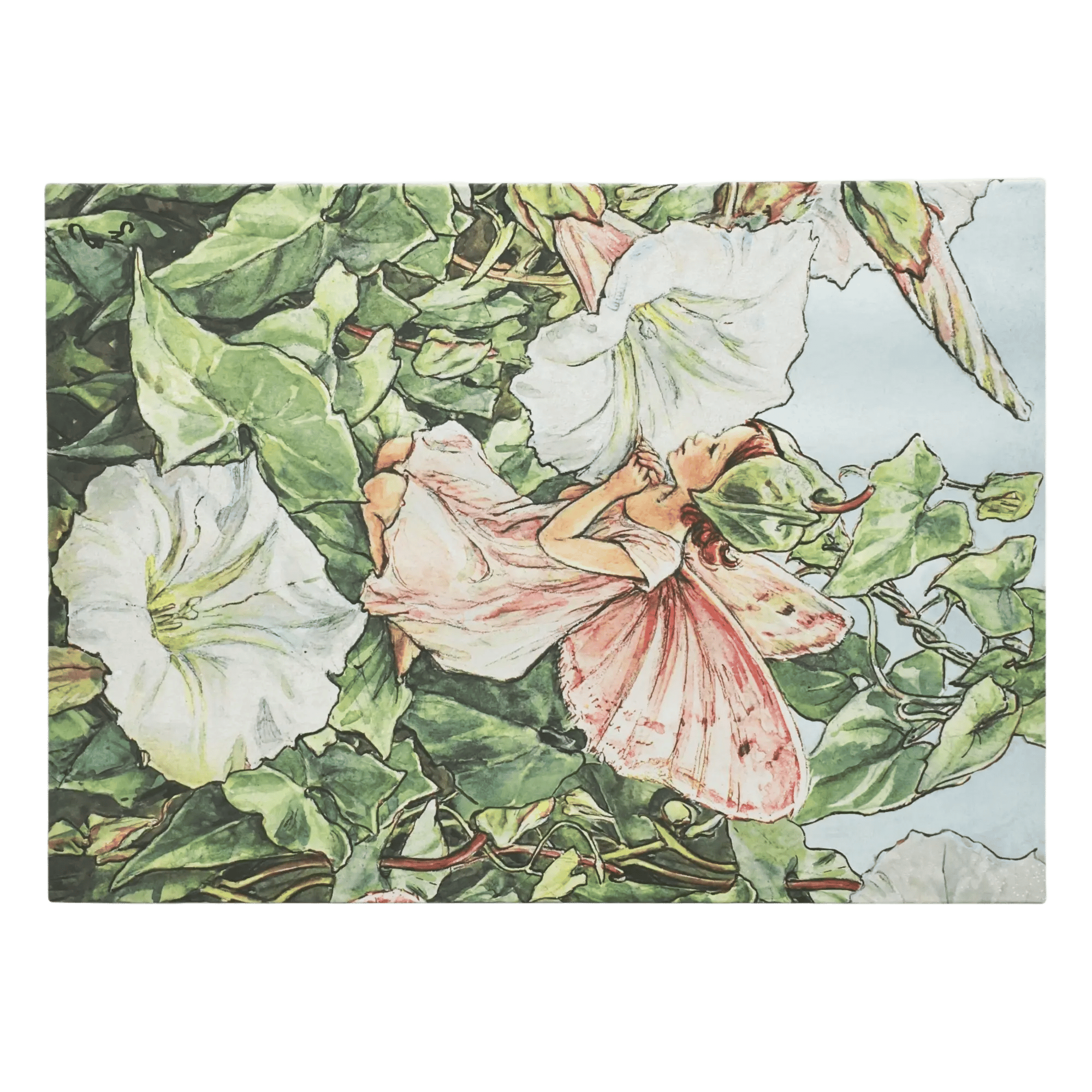 Bindweed Fairy - Document Folders - Back Image