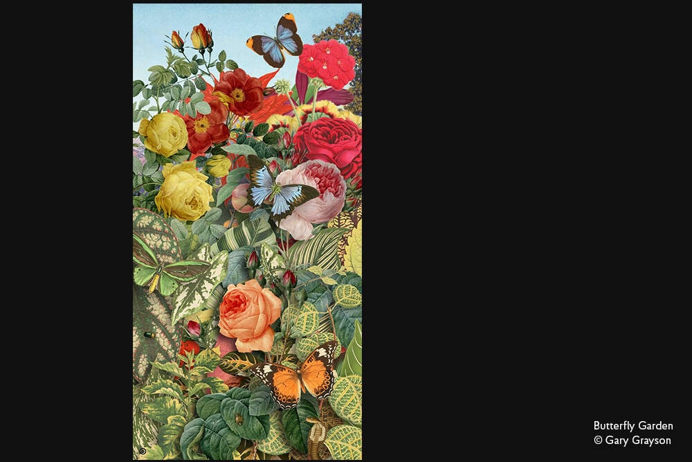 Jardín de Mariposas - Cuadernos - DesignImgFour Image