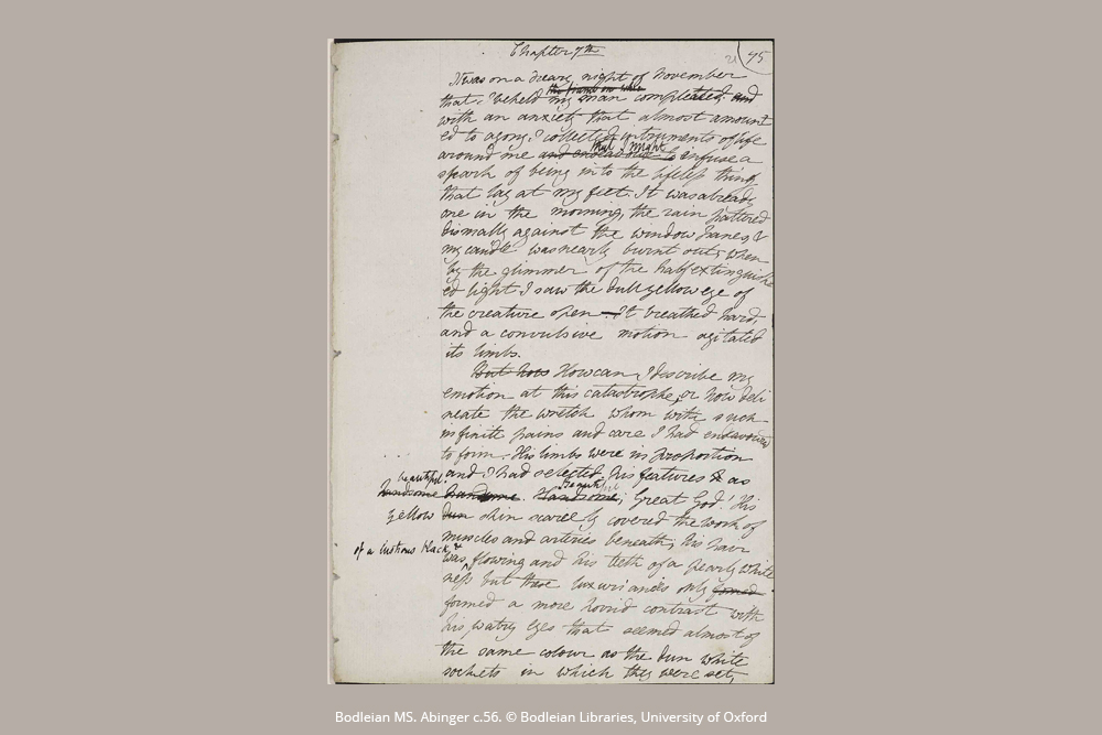 Mary Shelley, Frankenstein - Diari - DesignImgOne Image