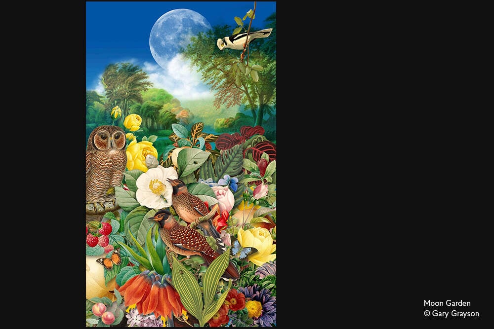 Giardino al Chiaro di Luna - Puzzle - DesignImgFour Image