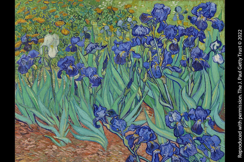 Iris de Van Gogh - Marque-pages - DesignImgTwo Image