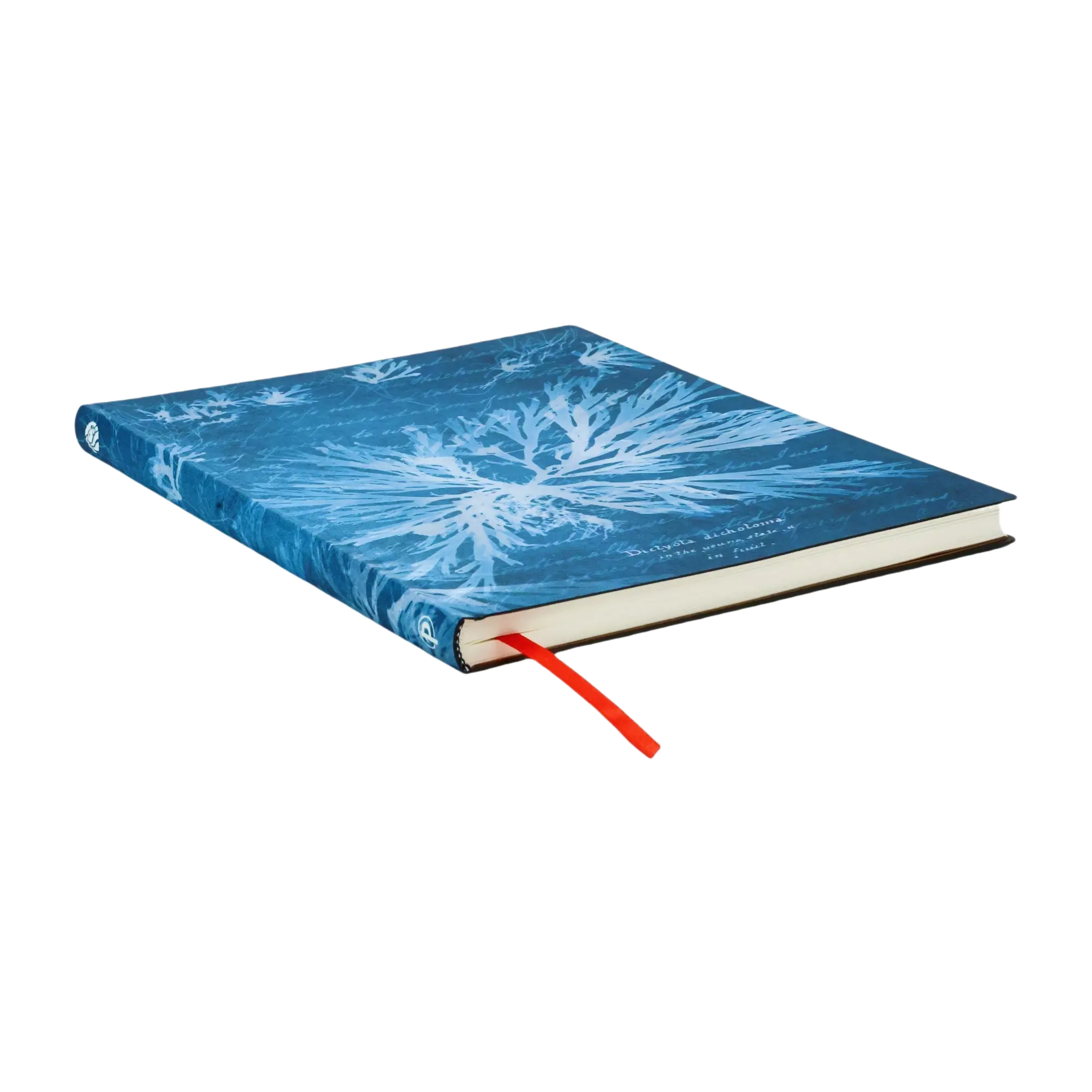 Fleurs Marines - Carnets - Edge Image