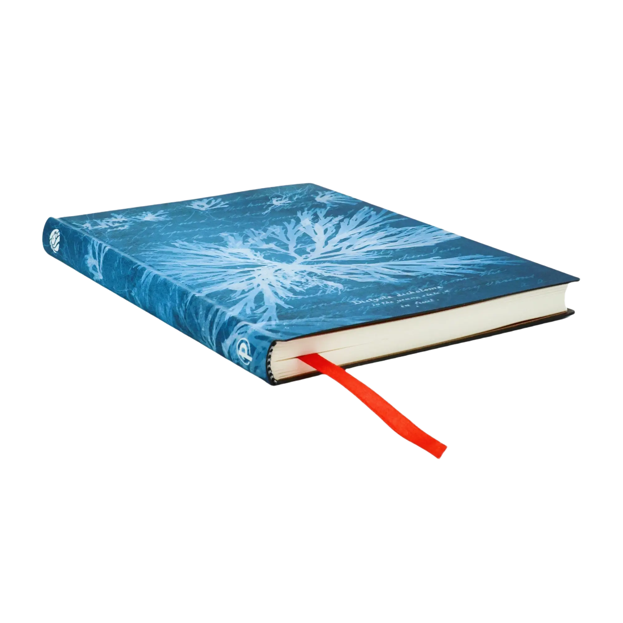 Sea Flowers - Journals - Edge Image