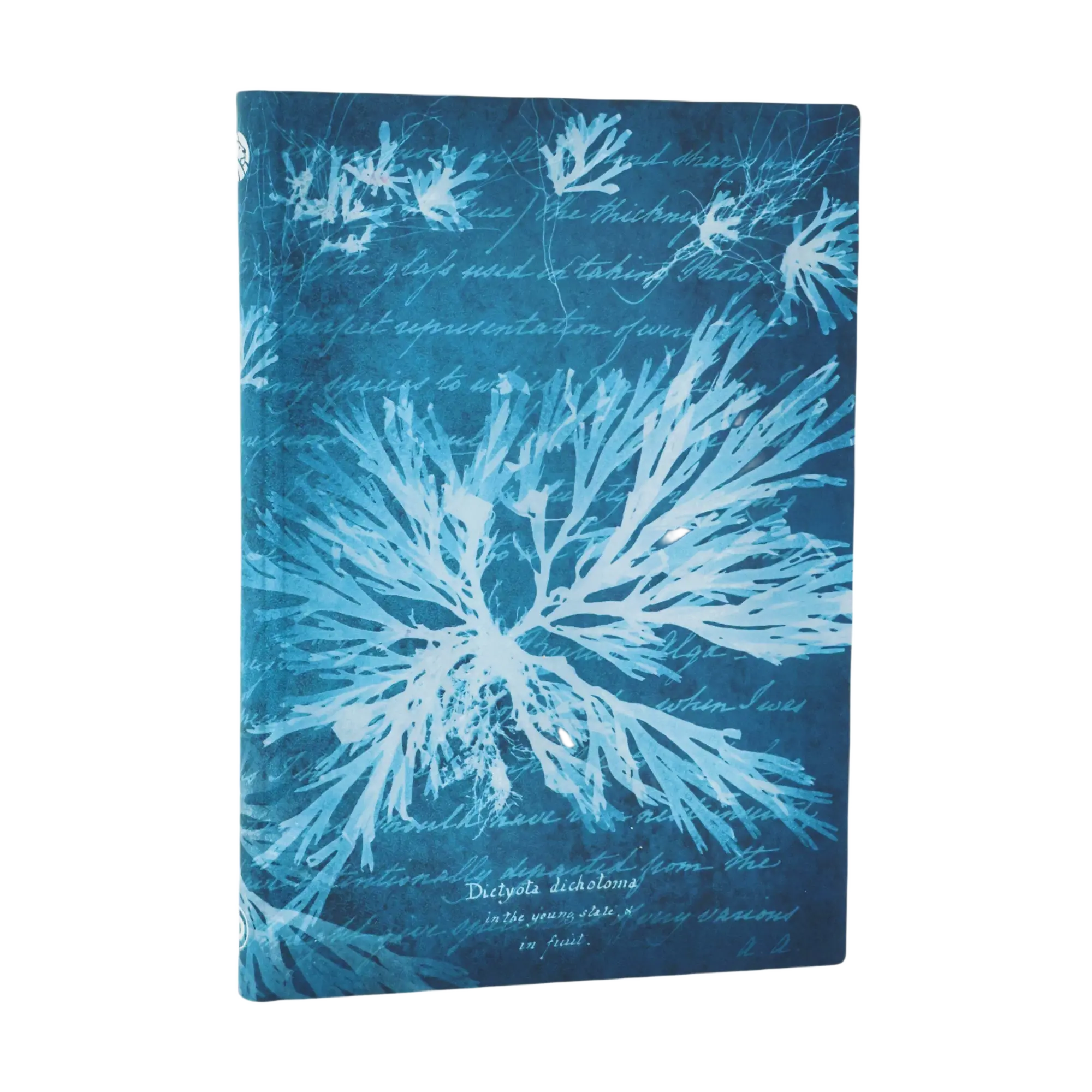 Sea Flowers - Journals - Front Image