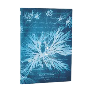 Sea Flowers