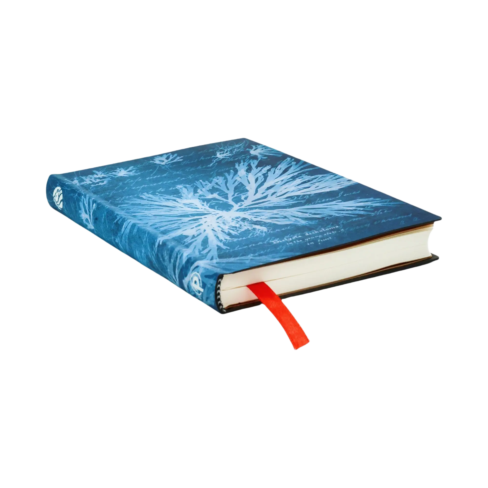 Sea Flowers - Journals - Edge Image
