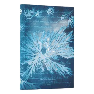 Sea Flowers