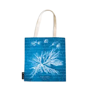 Sea Flowers