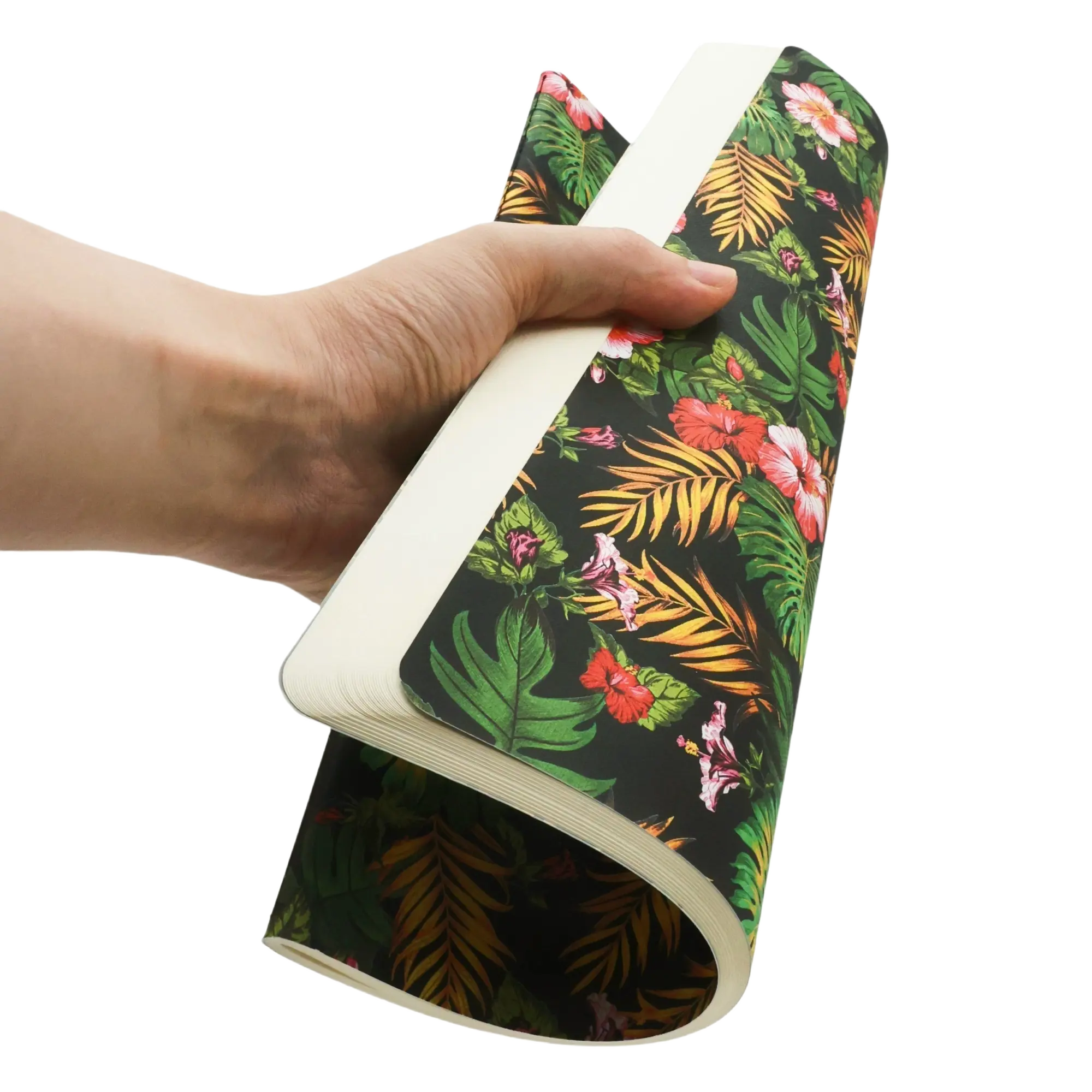 Nani - Cahiers - Back Image