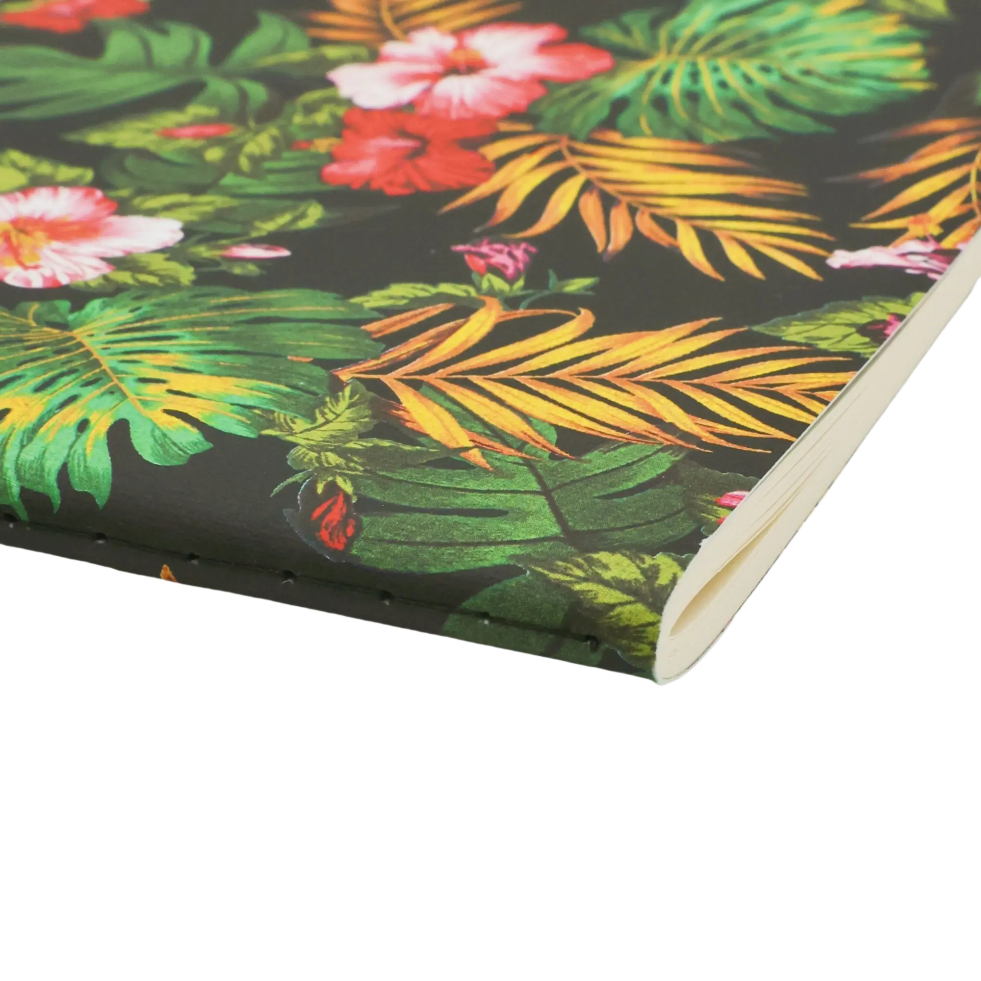 Nani - Cahiers - Edge Image