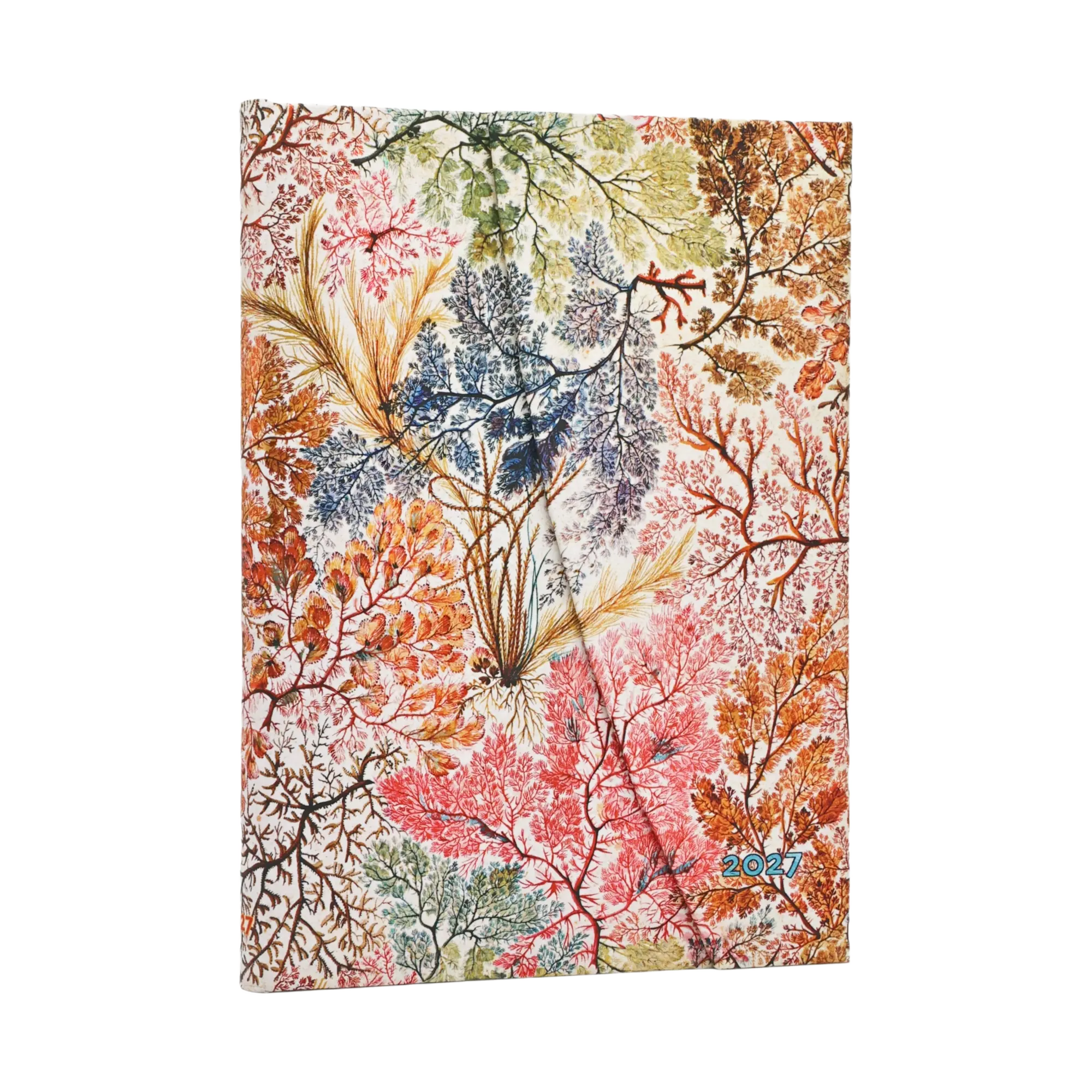 2027 Anemone - 12-Monatskalender - Front Image