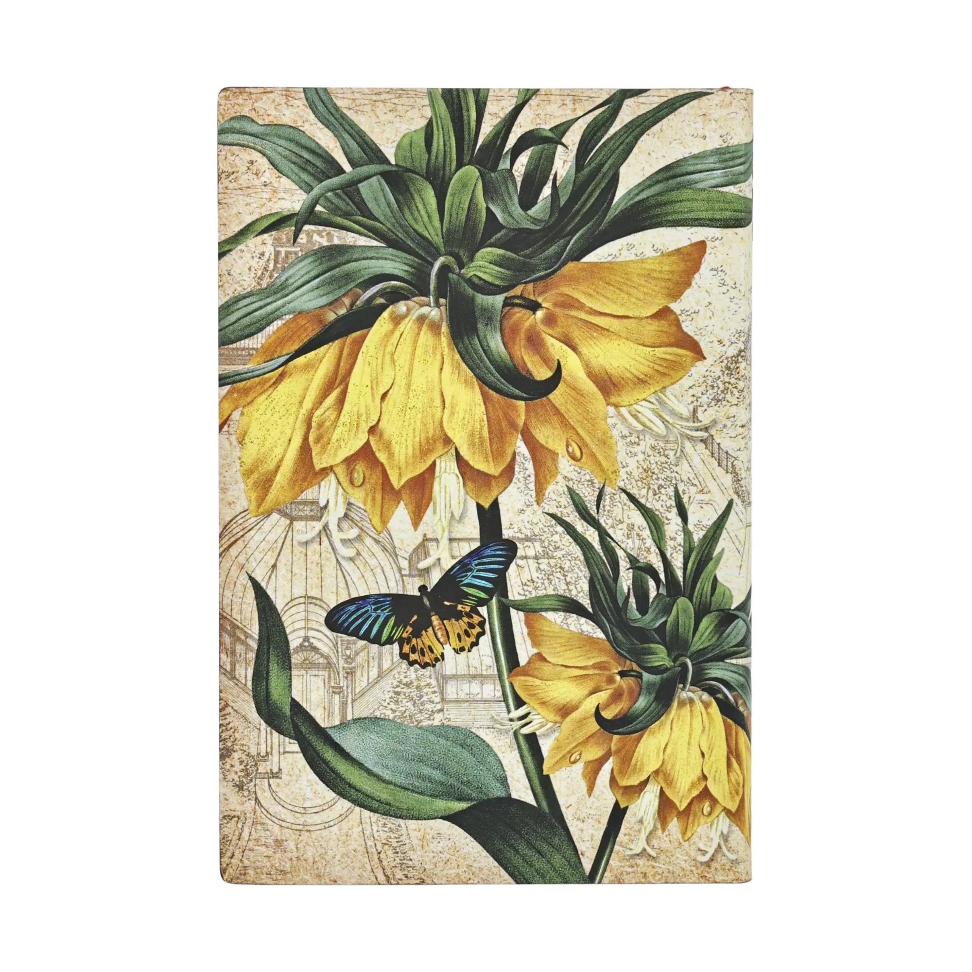 Fritillaria Imperiale - Diari - Back Image