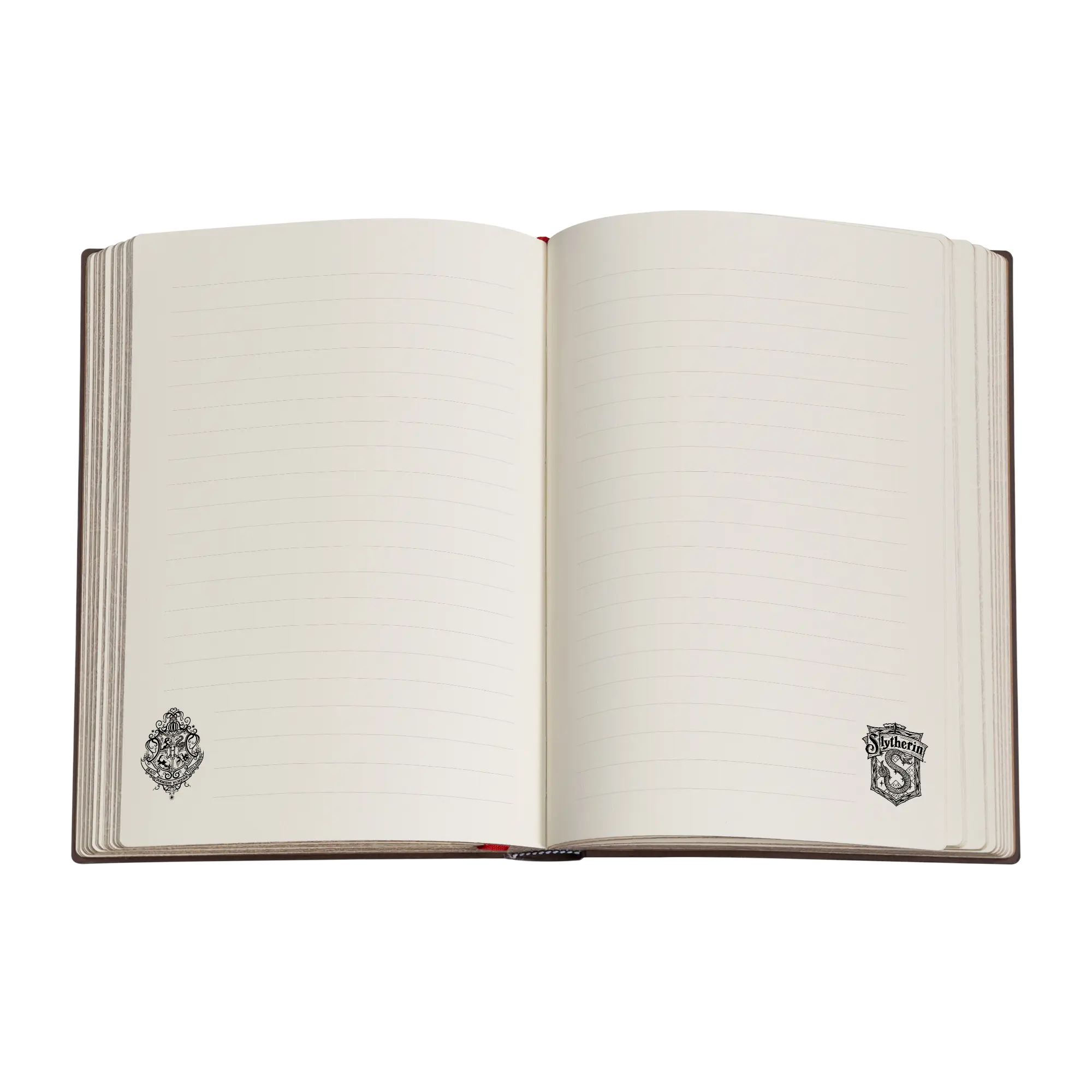 Slytherin Journal - Journals - InteriorOne Image