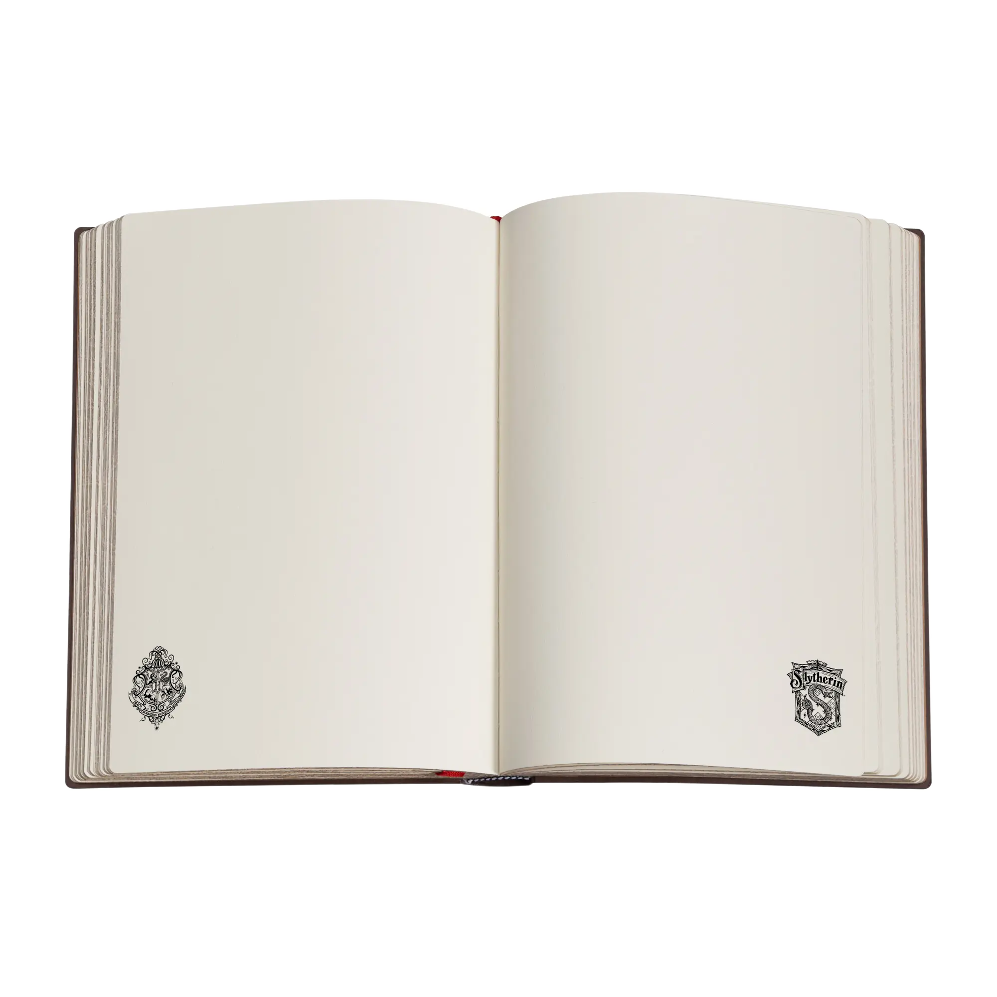Carnet Serpentard - Carnets - InteriorOne Image