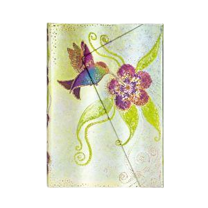 Colibrí