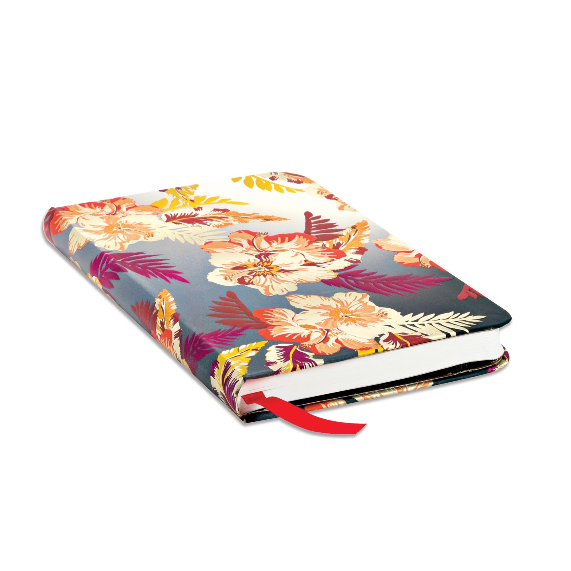 Lokahi - Carnets - Edge Image