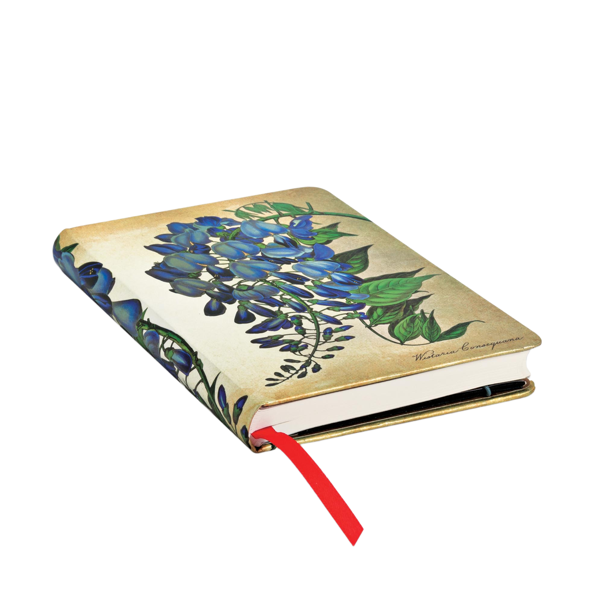 Blühende Glyzinie - Notizbücher - Edge Image