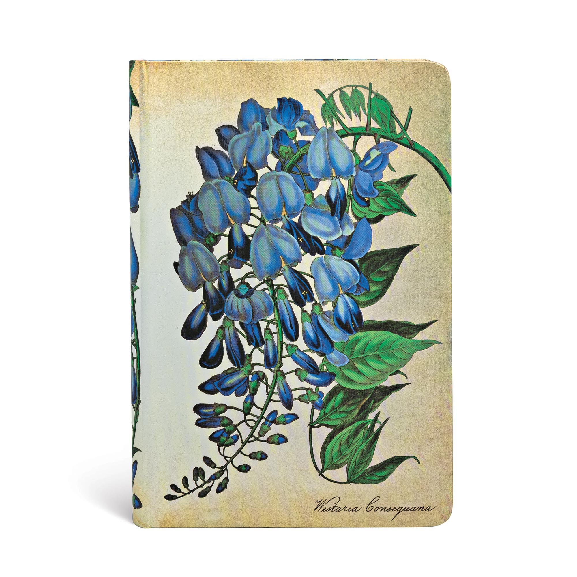 Blooming Wisteria - Journals - Front Image