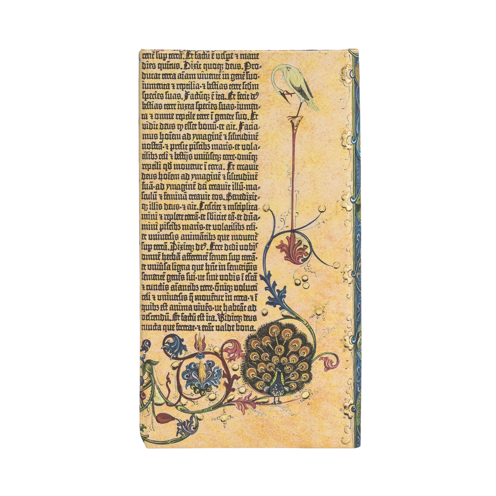 Genesis - Diari - Back Image