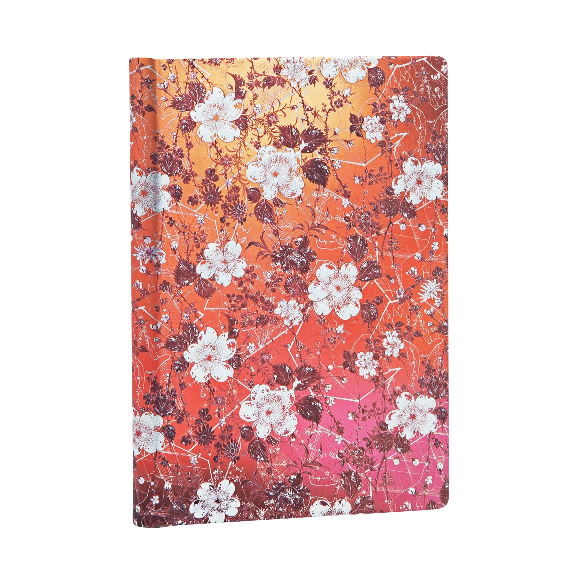 Sakura - Journals - Angle Image