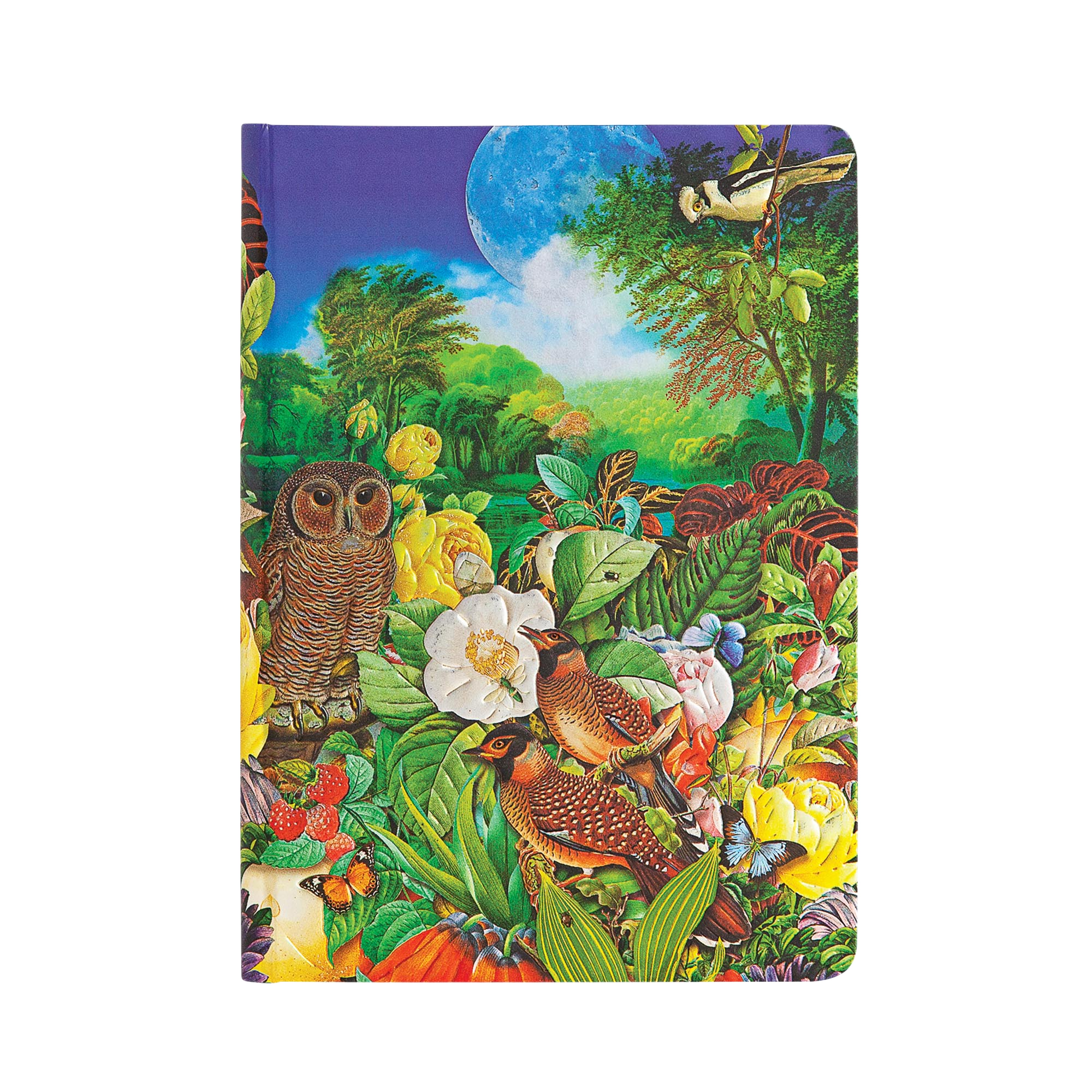 Giardino al Chiaro di Luna - Diari - Front Image