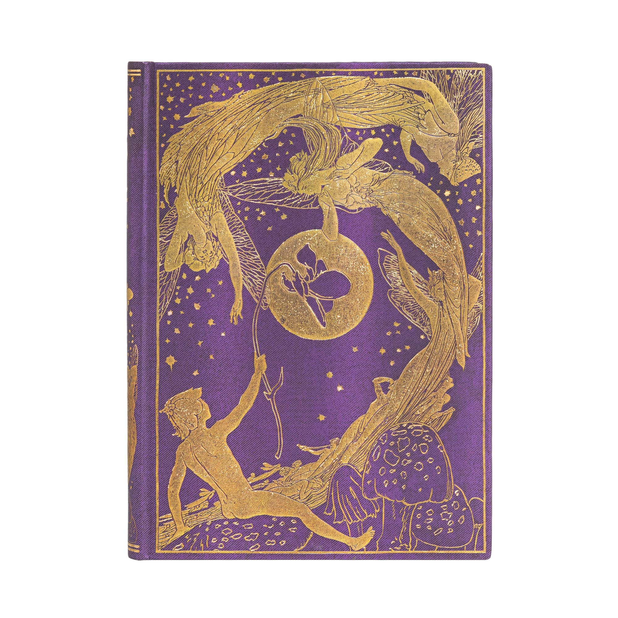 La Fata Viola - Diari - Front Image