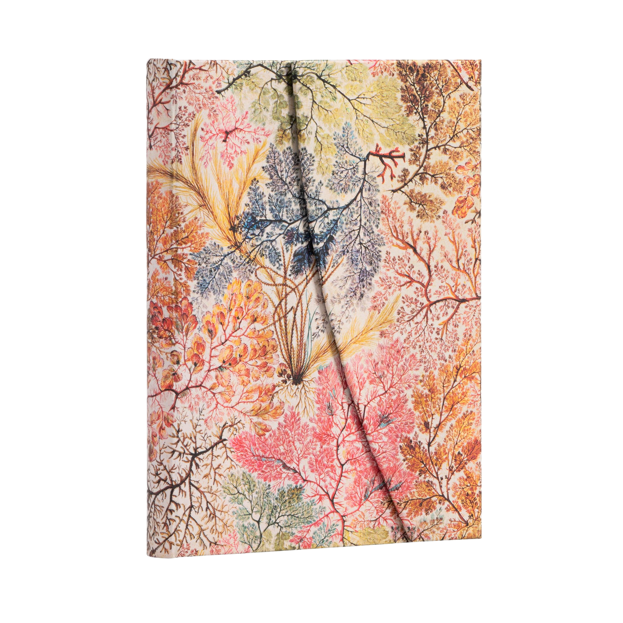 Anemone - William Kilburn - Journals | Paperblanks