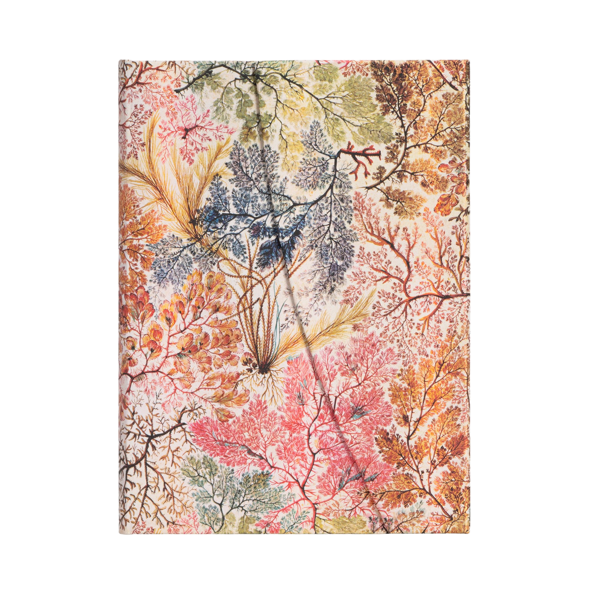 Anemone - Diari - Front Image