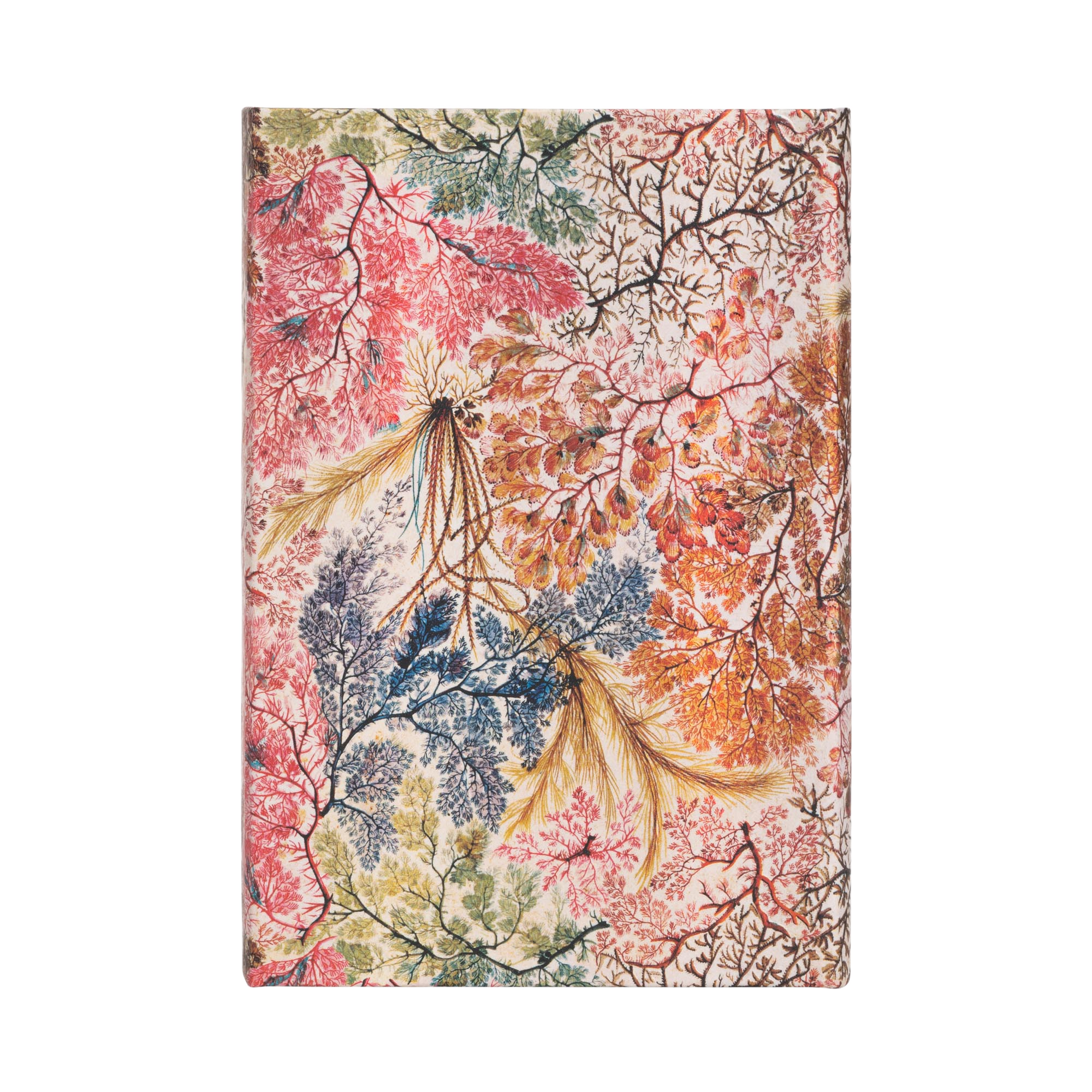 Anemone - Journals - Back Image