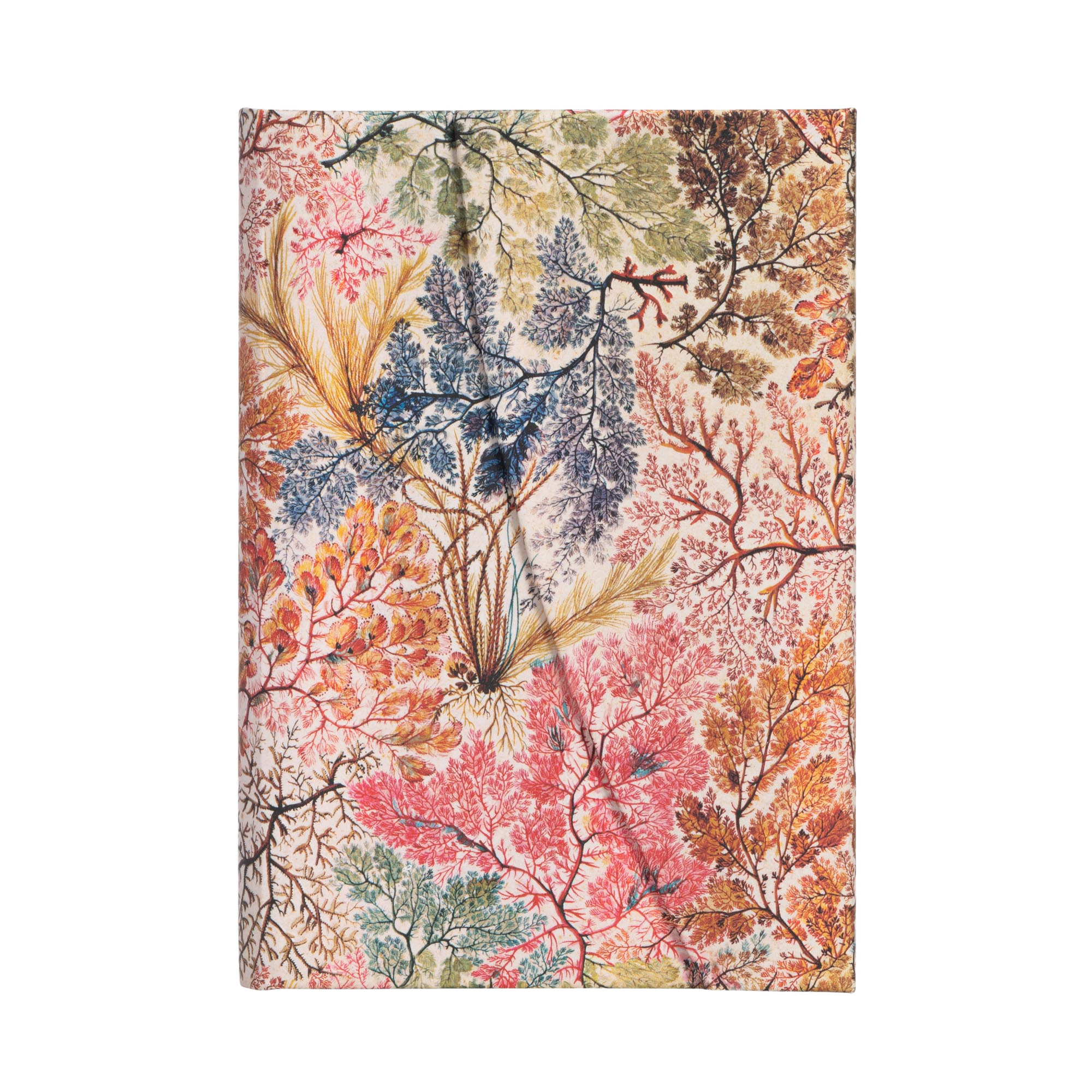 Anemone - Journals - Front Image
