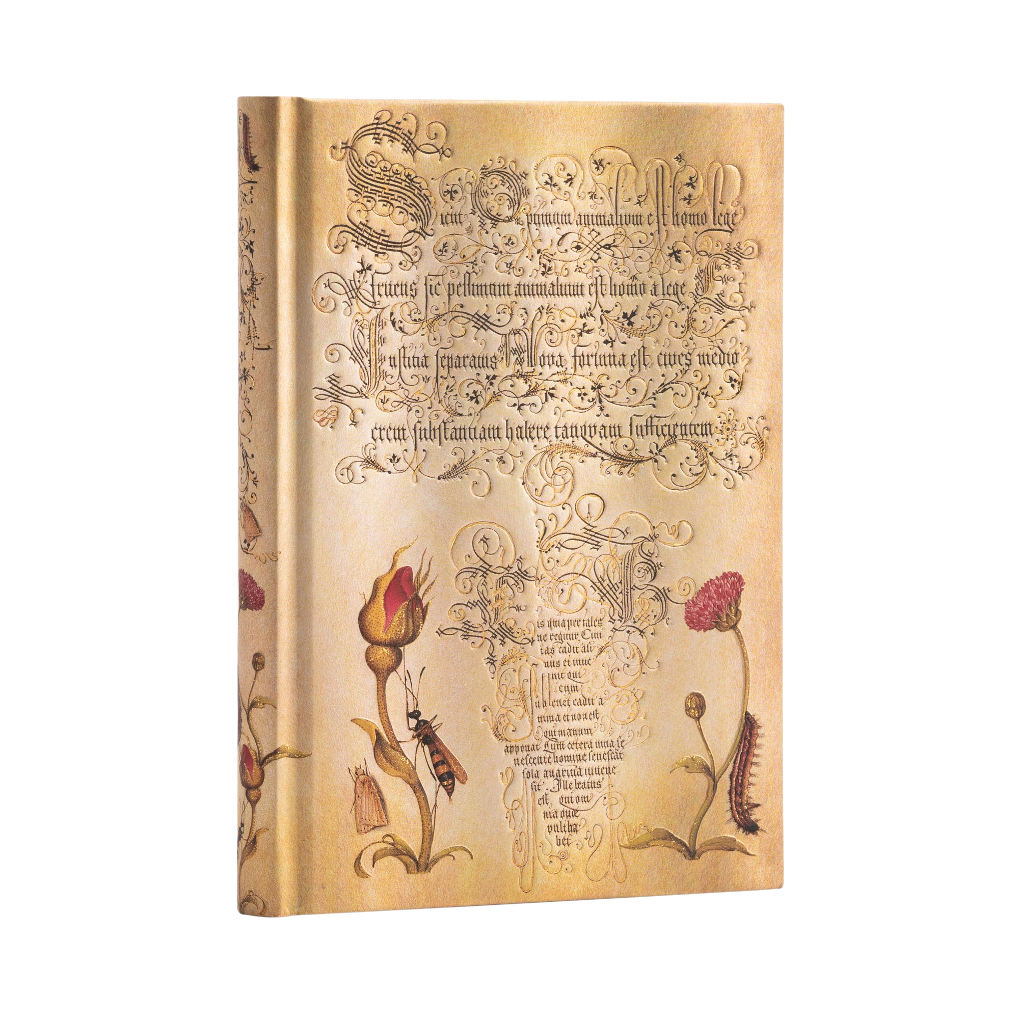 Rosa Holandesa - Cuadernos - Angle Image