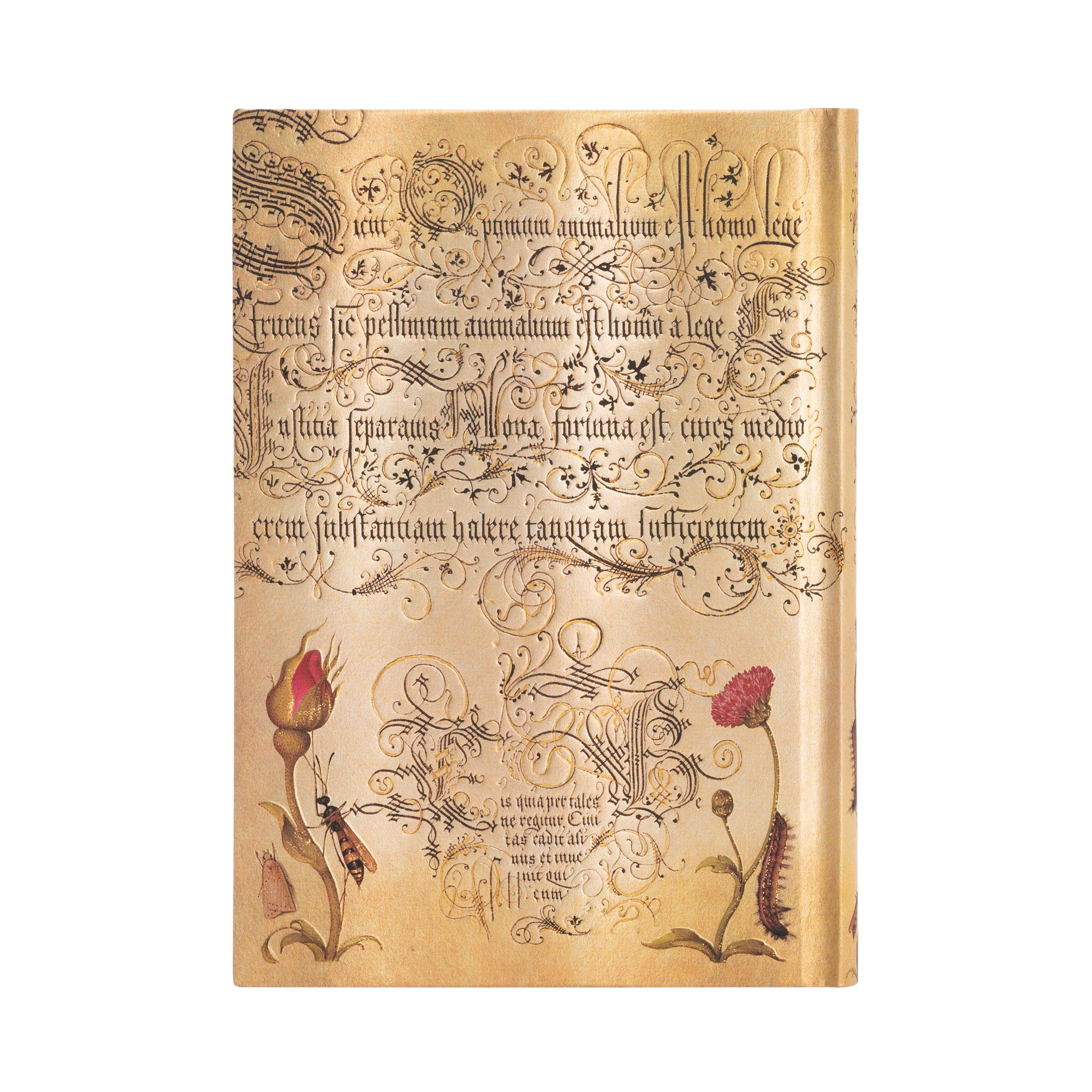Rosa Holandesa - Cuadernos - Back Image