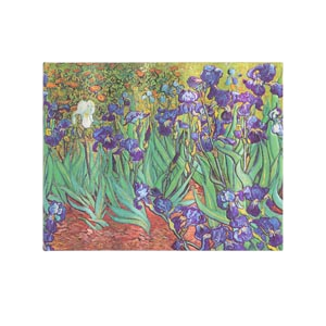 Van Gogh’s Irises