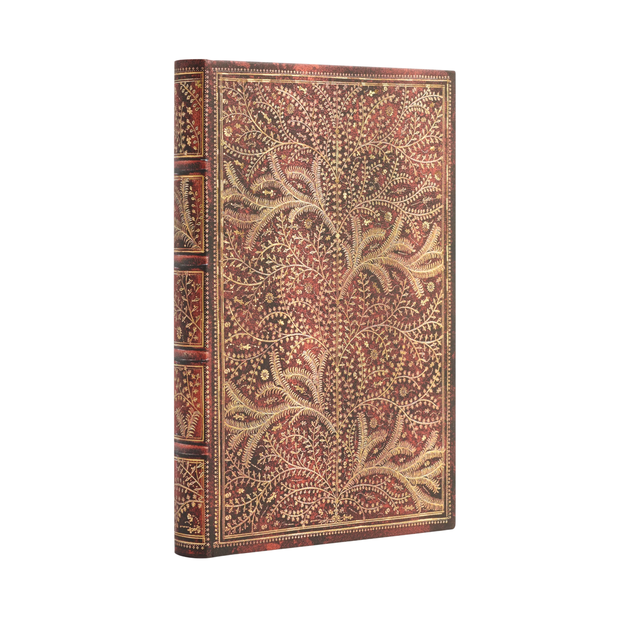 Forêt Sauvage - Carnets - Angle Image
