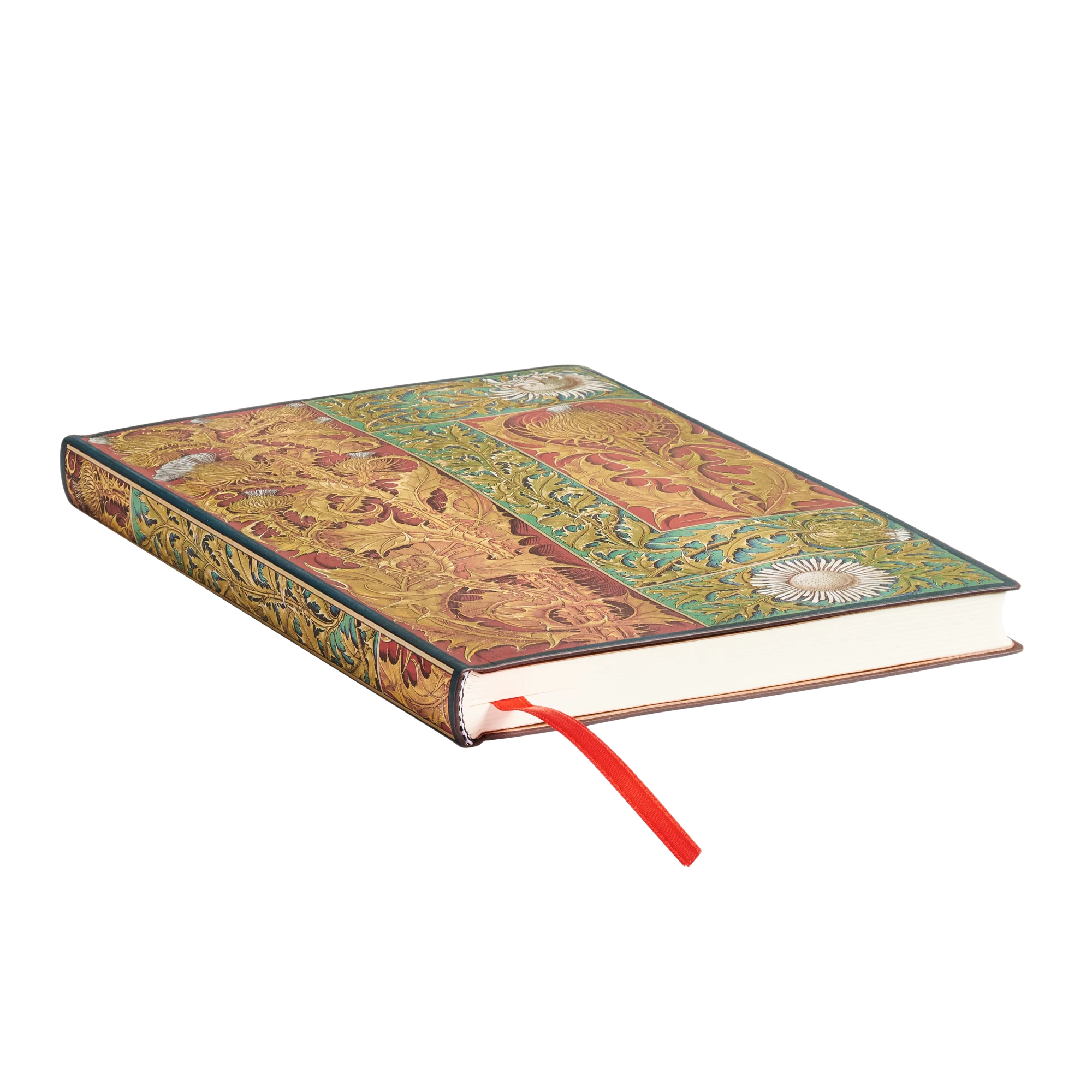 Cardo Silvestre - Cuadernos - Edge Image