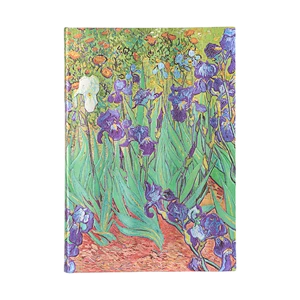 Van Gogh’s Irises